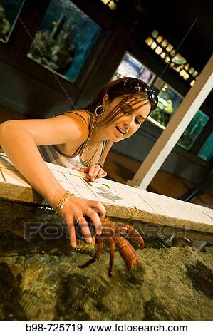 Key West Aquarium, Florida, USA View Large Photo Image Stock Photo - Key West Aquarium, Florida, USA. Fotosearch