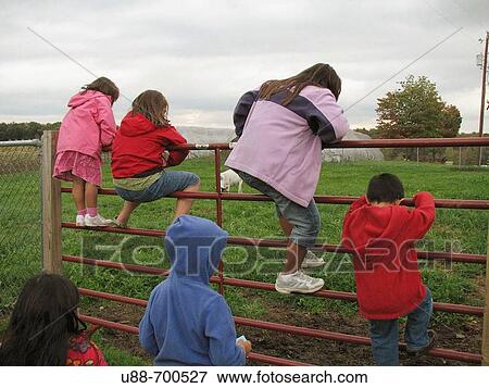 Kids climbing fence View Large Photo Image Stock Photo - Kids climbing fence. Fotosearch