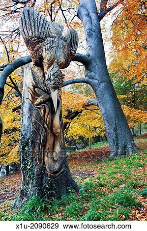 Kingfisher and Fish Wood Carving by the River Nidd at Knaresborough North Yorkshire England. View Large Photo Image Stock Photo - Kingfisher and Fish Wood Carving by the River Nidd at Knaresborough North Yorkshire England.. Fotosearch