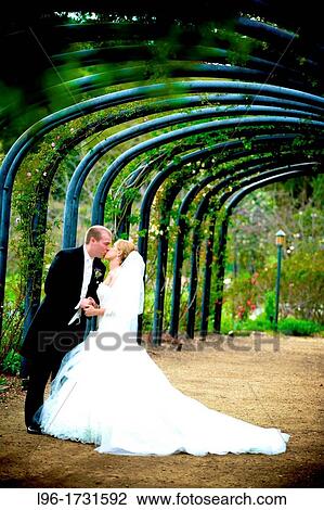 kissing under a canopy of garden arches View Large Photo Image Stock Image - kissing under a canopy of garden arches. Fotosearch