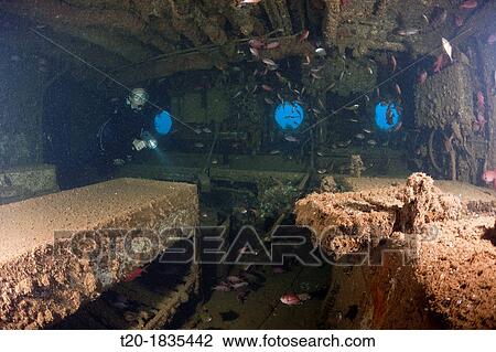 Kitchen inside Maldive Victory Wreck, North Male Atoll, Maldives View Large Photo Image Stock Image - Kitchen inside Maldive Victory Wreck, North Male Atoll, Maldives. Fotosearch