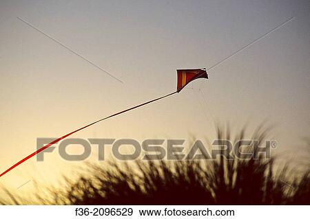 Kite flying at sunset over grass Trinidad, Humboldt County, CALIFORNIA. View Large Photo Image Stock Photo - Kite flying at sunset over grass Trinidad, Humboldt County, CALIFORNIA.. Fotosearch
