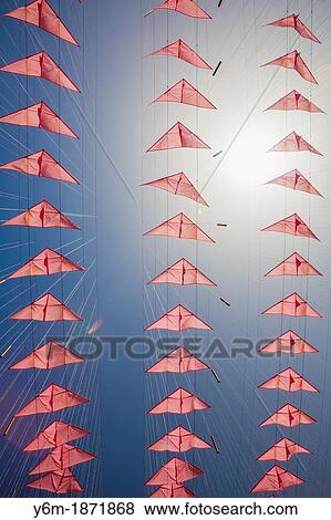 Kites at Galeria Nacional, San Juan, Puerto RIco View Large Photo Image Stock Photo - Kites at Galeria Nacional, San Juan, Puerto RIco. Fotosearch