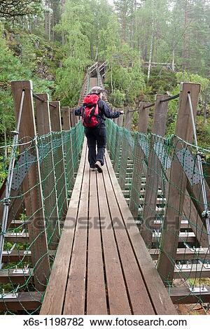 Stock Image - Kitkajoki river, Pieni Karhunkierros day trail, National Park of Oulanka, Kuusamo, Finland. Fotosearch