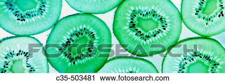 Kiwi View Large Photo Image Stock Image - Kiwi. Fotosearch