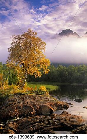 Kjerringoy, Norway View Large Photo Image Stock Photo - Kjerringoy, Norway. Fotosearch