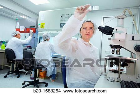 Picture - Knowing the viability of mammalian cells though Trypan blue vital stain, Researchers working in the cell culture room. Fotosearch