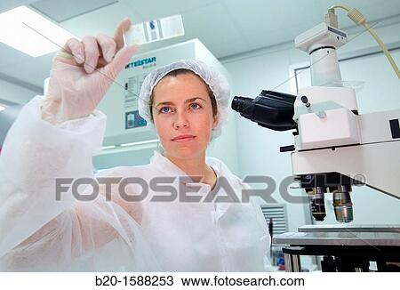 Knowing the viability of mammalian cells though Trypan blue vital stain, Researcher working in the cell culture room View Large Photo Image Stock Image - Knowing the viability of mammalian cells though Trypan blue vital stain, Researcher working in the cell culture room. Fotosearch