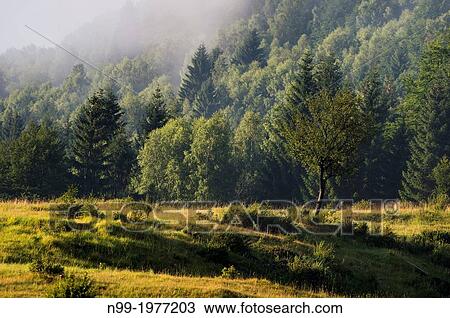 Stock Image - Kocevje, dolines in the landscape of Karst, middle-range mountains in the Dinaric Alps, Slovenie.. Fotosearch