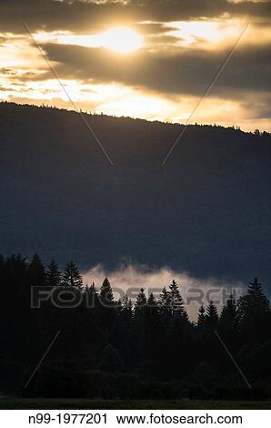 Stock Image - Kocevje, middle-range mountains in the Dinaric Alps, mixed forest, land of the bears in the Dinaric Alps, Slovenia.. Fotosearch