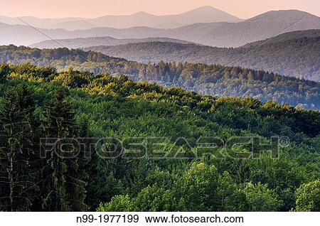 Kocevje, middle-range mountains in the Dinaric Alps, mixed forest, land of the bears in the Dinaric Alps, Slovenia. View Large Photo Image Stock Photo - Kocevje, middle-range mountains in the Dinaric Alps, mixed forest, land of the bears in the Dinaric Alps, Slovenia.. Fotosearch
