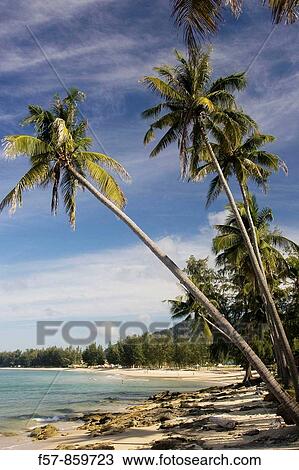 Koh Lanta, Thailand View Large Photo Image Stock Image - Koh Lanta, Thailand. Fotosearch