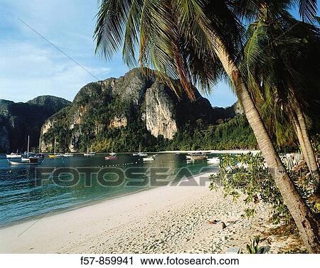 Koh Phi Phi Don, Thailand View Large Photo Image Stock Image - Koh Phi Phi Don, Thailand. Fotosearch
