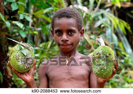 Kombai boy holding two jackfruits in his hands, Papua, Indonesia, Southeast Asia. View Large Photo Image Stock Image - Kombai boy holding two jackfruits in his hands, Papua, Indonesia, Southeast Asia.. Fotosearch