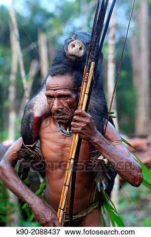 Stock Photo - Kombai man coming back from a successful hunt with a wild pig on the back, Papua, Indonesia, Southeast Asia.. Fotosearch