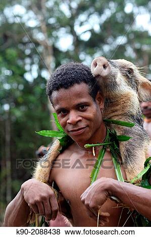 Kombai man coming back from a successful hunt with a wild pig on the back, Papua, Indonesia, Southeast Asia. View Large Photo Image Stock Photo - Kombai man coming back from a successful hunt with a wild pig on the back, Papua, Indonesia, Southeast Asia.. Fotosearch