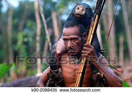 Kombai man with wild pig coming back from successful hunt, Papua, Indonesia, Southeast Asia. View Large Photo Image Stock Photography - Kombai man with wild pig coming back from successful hunt, Papua, Indonesia, Southeast Asia.. Fotosearch