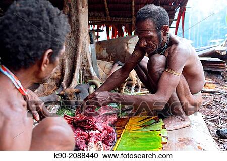 Kombai men slaughtering a pig, Papua, Indonesia, Southeast Asia. View Large Photo Image Stock Image - Kombai men slaughtering a pig, Papua, Indonesia, Southeast Asia.. Fotosearch