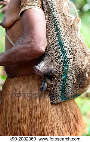 Stock Image - Kombai woman carrying a pig as pet in her sac, Papua, Indonesia, Southeast Asia.. Fotosearch