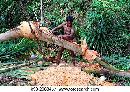 Stock Photo - Kombai woman kneading Sago chips to extract the flour, Papua, Indonesia, Southeast Asia.. Fotosearch