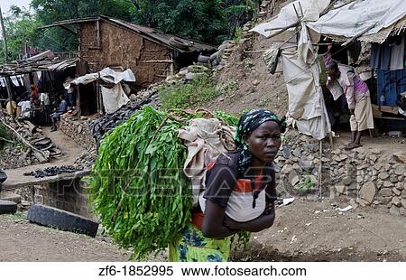 Konso Ethiopia Africa tribal village Lower Omo Valley market local woman carrying heavy load of branches for hut View Large Photo Image Stock Photography - Konso Ethiopia Africa tribal village Lower Omo Valley market local woman carrying heavy load of branches for hut. Fotosearch