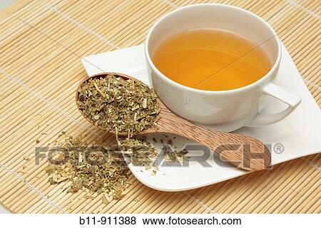Kr? utertee aus der Heilpflanze Goldrute, kanadische, Solidago canadensis / herbtea made of te medicinal plant golden rod, solidago canadensis View Large Photo Image Stock Photo - Kr? utertee aus der Heilpflanze Goldrute, kanadische, Solidago canadensis / herbtea made of te medicinal plant golden rod, solidago canadensis. Fotosearch