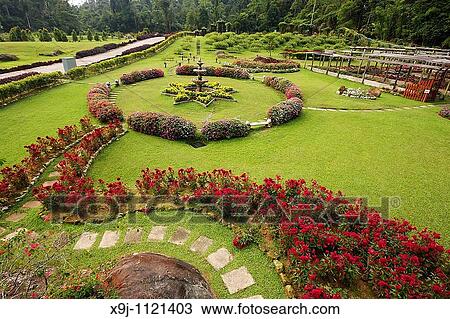 kuching, sarawak, borneo View Large Photo Image Stock Image - kuching, sarawak, borneo. Fotosearch