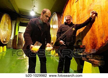 Stock Image - ? Kupela? barrels, Petritegi typical cider house (? sagardotegi? ), Astigarraga, Gipuzkoa, Euskadi, Spain. Fotosearch