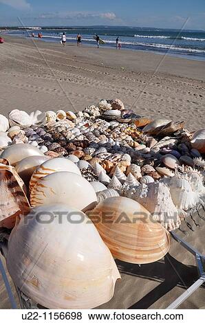 Stock Photo - Kuta Beach (Bali, Indonesia): shells sold on the shore. Fotosearch