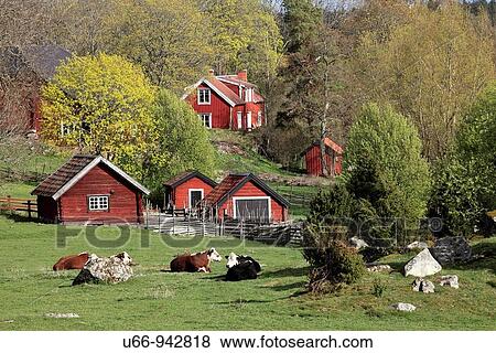 L? nna by Uppland, Sweden View Large Photo Image Stock Photo - L? nna by Uppland, Sweden. Fotosearch