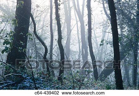 La Garrotxa Natural Reserve, Catalonia, Spain View Large Photo Image Stock Image - La Garrotxa Natural Reserve, Catalonia, Spain. Fotosearch