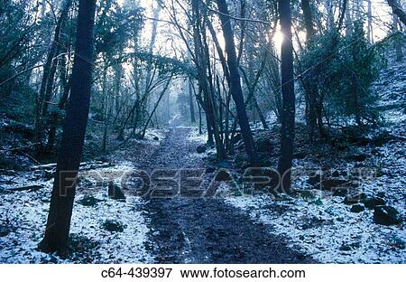 La Garrotxa Natural Reserve, Catalonia, Spain View Large Photo Image Stock Photo - La Garrotxa Natural Reserve, Catalonia, Spain. Fotosearch