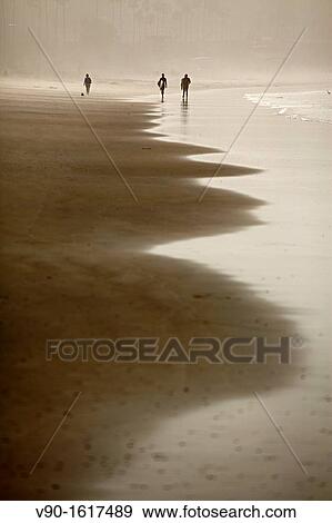 La Jolla Beach View Large Photo Image Stock Photo - La Jolla Beach. Fotosearch