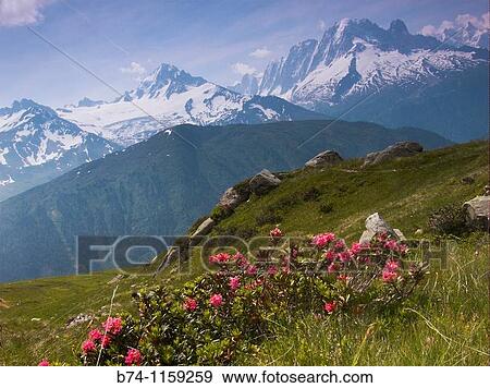 la loriaz, haute savoie, france View Large Photo Image Stock Photo - la loriaz, haute savoie, france. Fotosearch