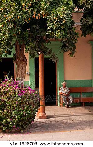 La Noria Village, Near Mazatlan, Sinaloa, Mexico View Large Photo Image Stock Photo - La Noria Village, Near Mazatlan, Sinaloa, Mexico. Fotosearch