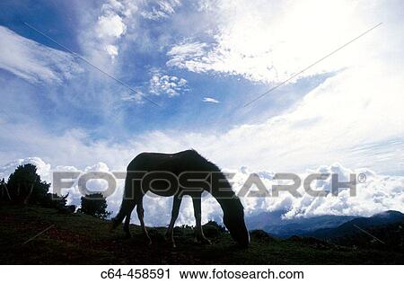 La Providencia Ecological Reserve, VolcBn PoBs National Park. Costa Rica View Large Photo Image Stock Image - La Providencia Ecological Reserve, VolcBn PoBs National Park. Costa Rica. Fotosearch