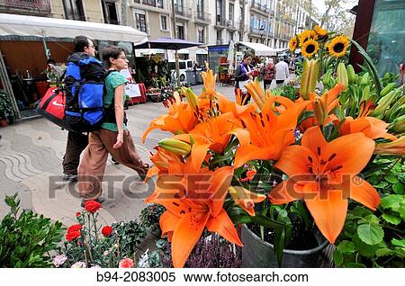 La Rambla, Barcelona, Catalonia, Spain View Large Photo Image Stock Photography - La Rambla, Barcelona, Catalonia, Spain. Fotosearch