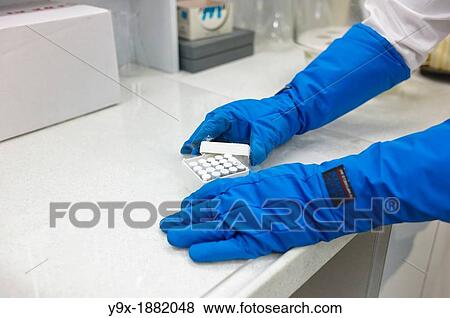 Lab workers culvating orchid species and hybrids in a laboratory View Large Photo Image Stock Photo - Lab workers culvating orchid species and hybrids in a laboratory. Fotosearch
