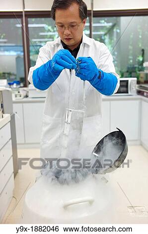 Lab workers culvating orchid species and hybrids in a laboratory View Large Photo Image Stock Photograph - Lab workers culvating orchid species and hybrids in a laboratory. Fotosearch
