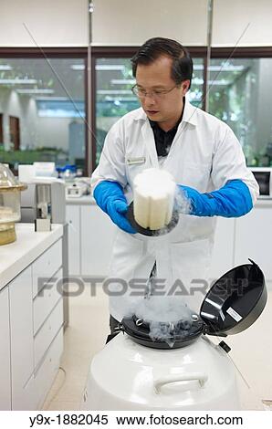Lab workers culvating orchid species and hybrids in a laboratory View Large Photo Image Stock Photography - Lab workers culvating orchid species and hybrids in a laboratory. Fotosearch