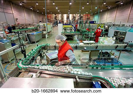 Picture - Labeling and packaging canned vegetables, Cans, Canning Industry, Agri-food, Logistics Center, Grupo Riberebro, Alfaro, La Rioja, Spain. Fotosearch