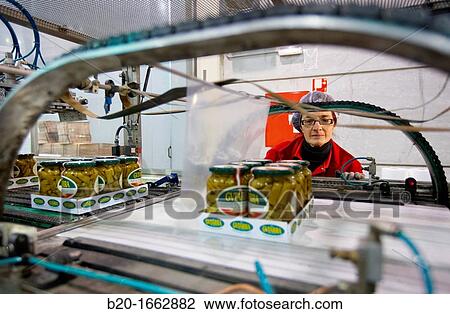Stock Image - Labeling and packaging canned vegetables, Green bean, Canning Industry, Agri-food, Logistics Center, Grupo Riberebro, Alfaro, La Rioja, Spain. Fotosearch
