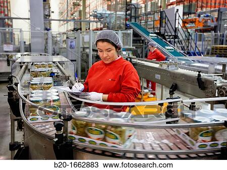Stock Image - Labeling and packaging canned vegetables, Green bean, Canning Industry, Agri-food, Logistics Center, Grupo Riberebro, Alfaro, La Rioja, Spain. Fotosearch