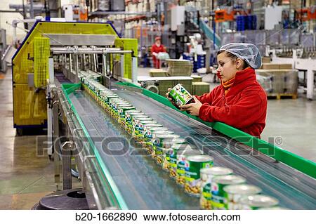 Stock Image - Labeling and packaging canned vegetables, Mushrooms, Canning Industry, Agri-food, Logistics Center, Grupo Riberebro, Alfaro, La Rioja, Spain. Fotosearch