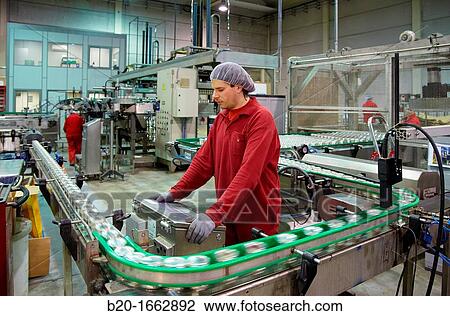 Labeling and packaging canned vegetables, Cans, Canning Industry, Agri-food, Logistics Center, Grupo Riberebro, Alfaro, La Rioja, Spain View Large Photo Image Stock Image - Labeling and packaging canned vegetables, Cans, Canning Industry, Agri-food, Logistics Center, Grupo Riberebro, Alfaro, La Rioja, Spain. Fotosearch