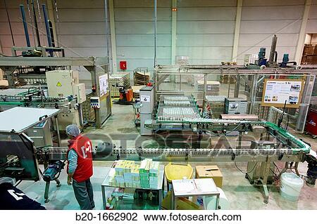 Labeling and packaging canned vegetables, Cans, Canning Industry, Agri-food, Logistics Center, Grupo Riberebro, Alfaro, La Rioja, Spain View Large Photo Image Stock Image - Labeling and packaging canned vegetables, Cans, Canning Industry, Agri-food, Logistics Center, Grupo Riberebro, Alfaro, La Rioja, Spain. Fotosearch