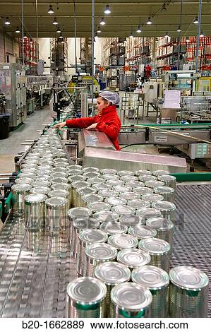Labeling and packaging canned vegetables, Cans, Canning Industry, Agri-food, Logistics Center, Grupo Riberebro, Alfaro, La Rioja, Spain View Large Photo Image Stock Photo - Labeling and packaging canned vegetables, Cans, Canning Industry, Agri-food, Logistics Center, Grupo Riberebro, Alfaro, La Rioja, Spain. Fotosearch
