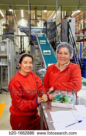 Stock Photograph - Labeling and packaging canned vegetables, Mushrooms, Canning Industry, Agri-food, Logistics Center, Grupo Riberebro, Alfaro, La Rioja, Spain. Fotosearch