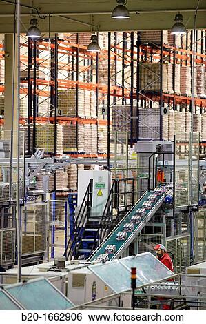 Labeling and packaging canned vegetables, Cans, Canning Industry, Agri-food, Logistics Center, Grupo Riberebro, Alfaro, La Rioja, Spain View Large Photo Image Stock Photograph - Labeling and packaging canned vegetables, Cans, Canning Industry, Agri-food, Logistics Center, Grupo Riberebro, Alfaro, La Rioja, Spain. Fotosearch