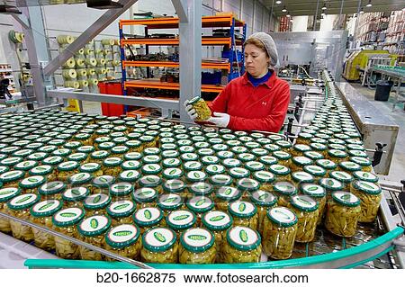 Labeling and packaging canned vegetables, Green bean, Canning Industry, Agri-food, Logistics Center, Grupo Riberebro, Alfaro, La Rioja, Spain View Large Photo Image Stock Photography - Labeling and packaging canned vegetables, Green bean, Canning Industry, Agri-food, Logistics Center, Grupo Riberebro, Alfaro, La Rioja, Spain. Fotosearch